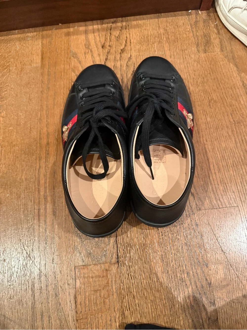 Gucci features 	•	black
